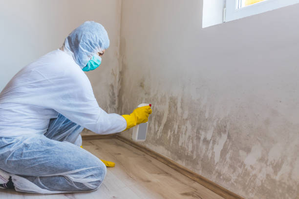 Licensed Mold Testing service in Winter Springs, FL - WQB Mold Removal