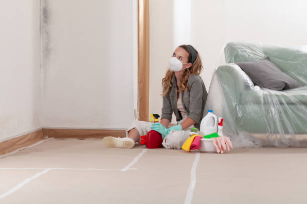 Reliable Mold Testing contractor in Winter Springs, FL by WQB Mold Removal